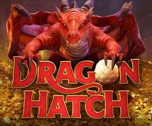 Dragon Hatch