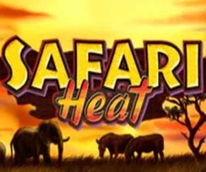 Safari Heat